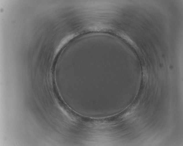 X0000070250626200606232008