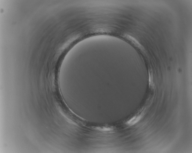 X0000070250627200606232008