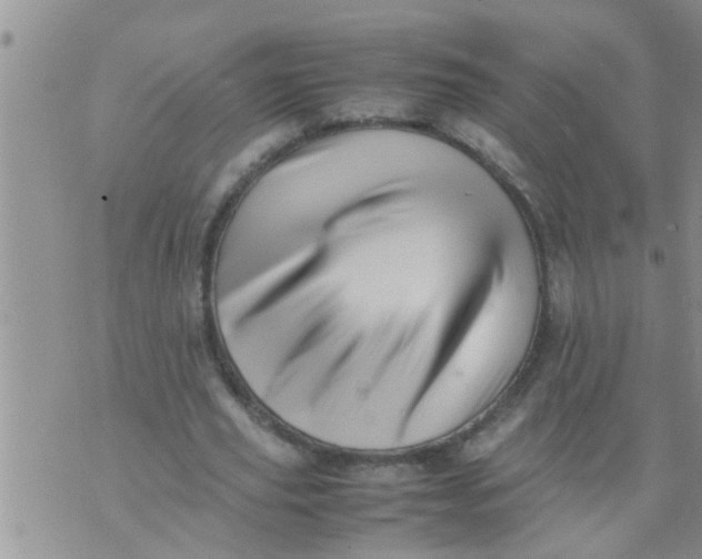 X0000070250629200606232008