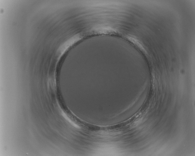 X0000070250630200606232008