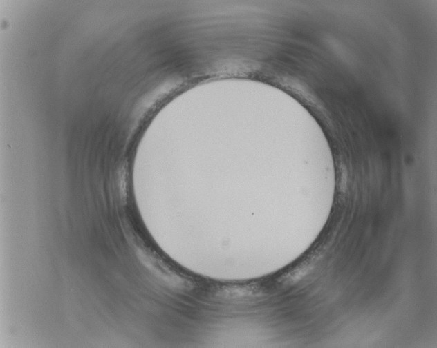 X0000070250632200606232008