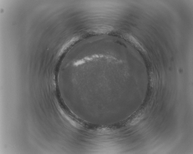 X0000070250634200606232008