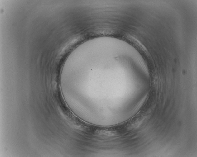 X0000070250635200606232009