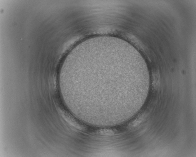 X0000070250636200606232009