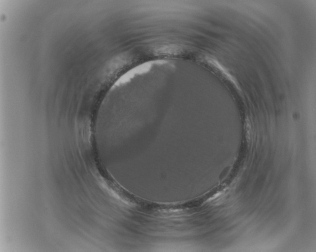 X0000070250637200606232009