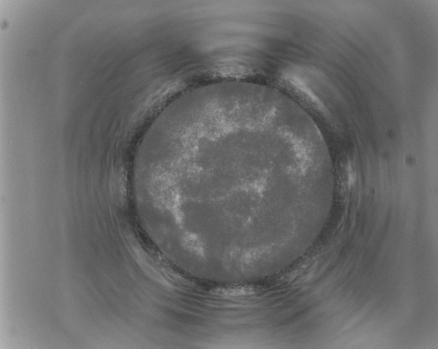 X0000070250639200606232009