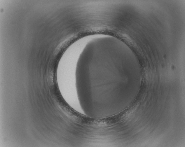 X0000070250640200606232009