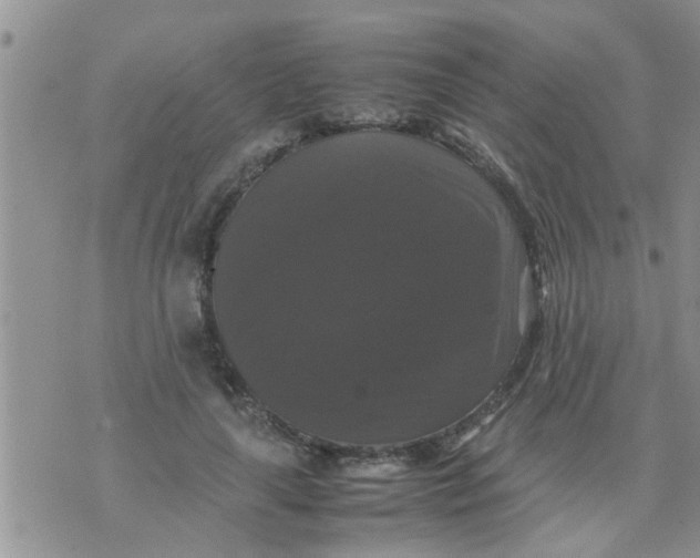 X0000070250643200606232009