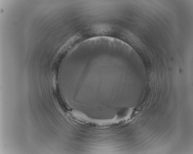 X0000070250644200606232009