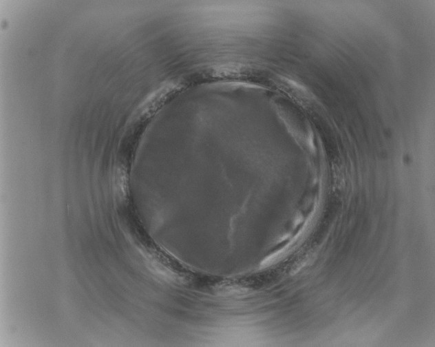 X0000070250648200606232009