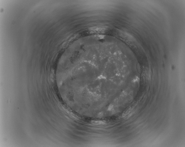 X0000070250649200606232009