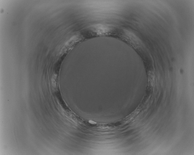 X0000070250650200606232009