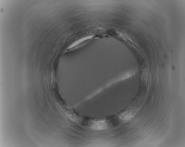 X0000070250651200606232009