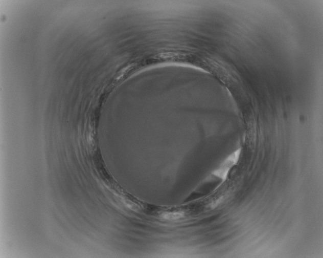 X0000070250653200606232009