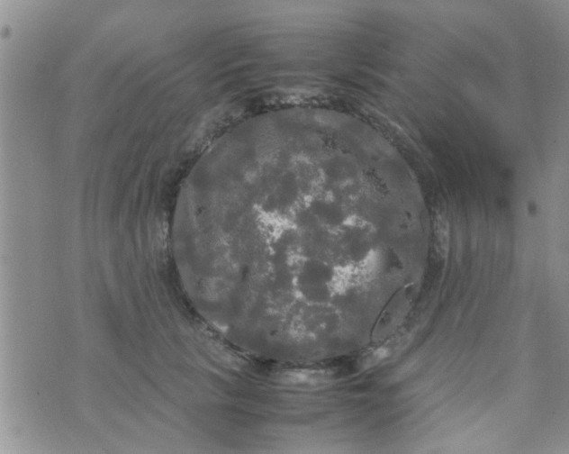 X0000070250657200606232009