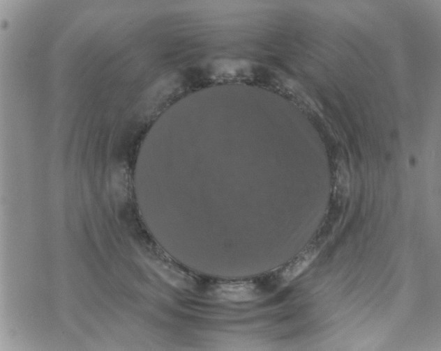 X0000070250659200606232009