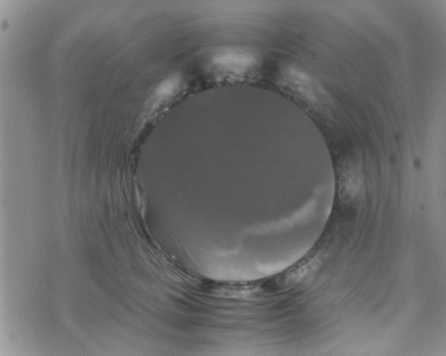 X0000070250661200606232009