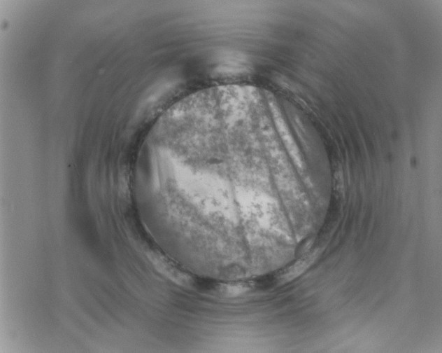 X0000070250662200606232009