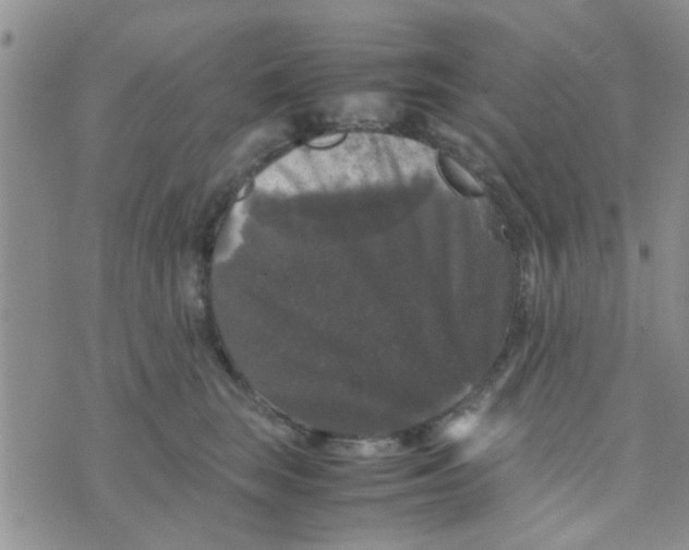 X0000070250663200606232009