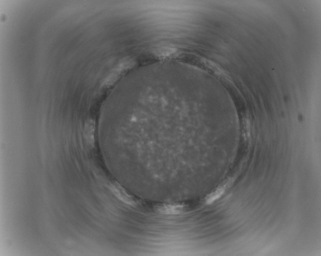 X0000070250664200606232009