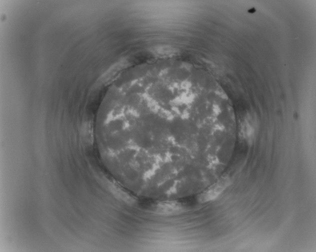 X0000070250666200606232009