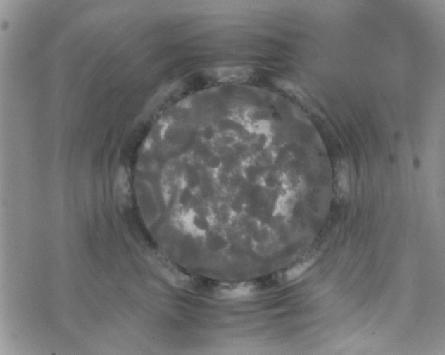 X0000070250667200606232009