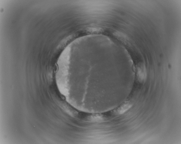 X0000070250668200606232009