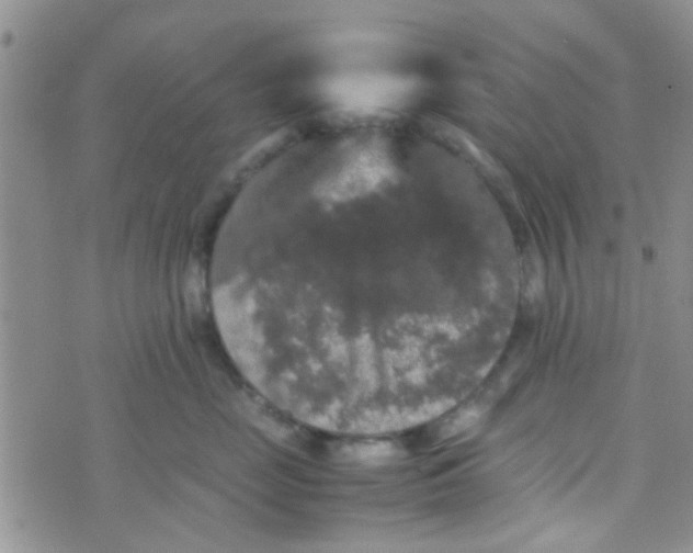 X0000070250669200606232009