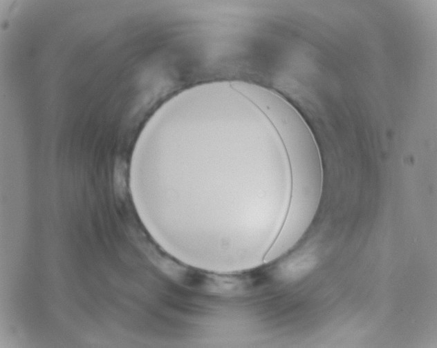 X0000070250672200606232009