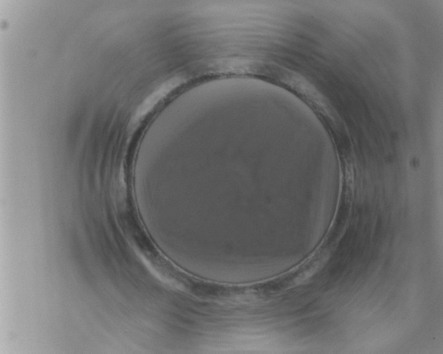 X0000070250674200606232008