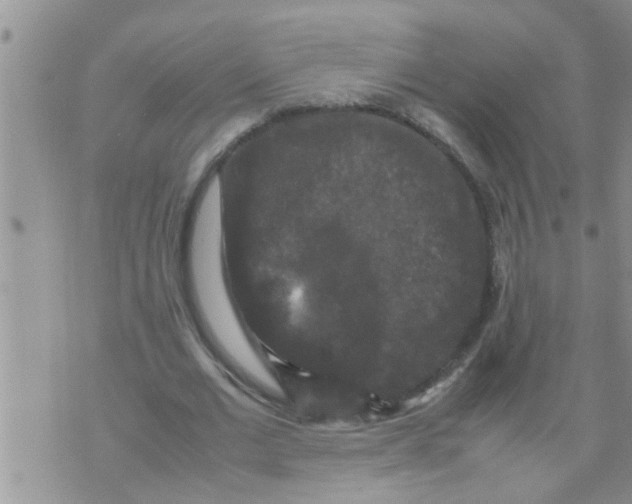 X0000070250677200606232008