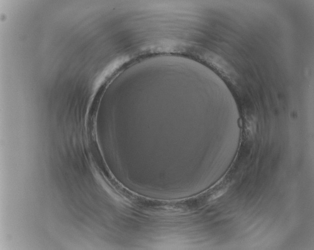 X0000070250678200606232008