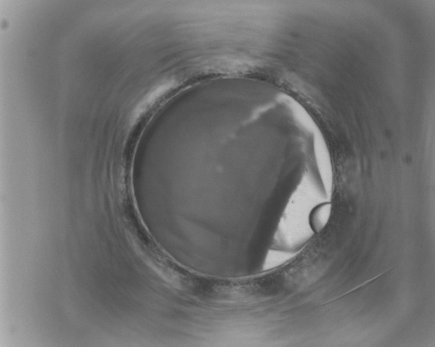 X0000070250679200606232008