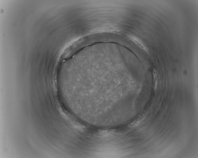 X0000070250680200606232008