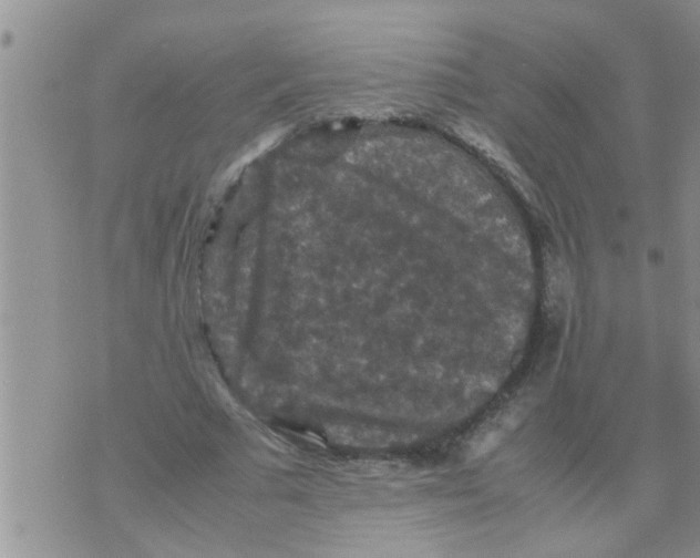 X0000070250681200606232008