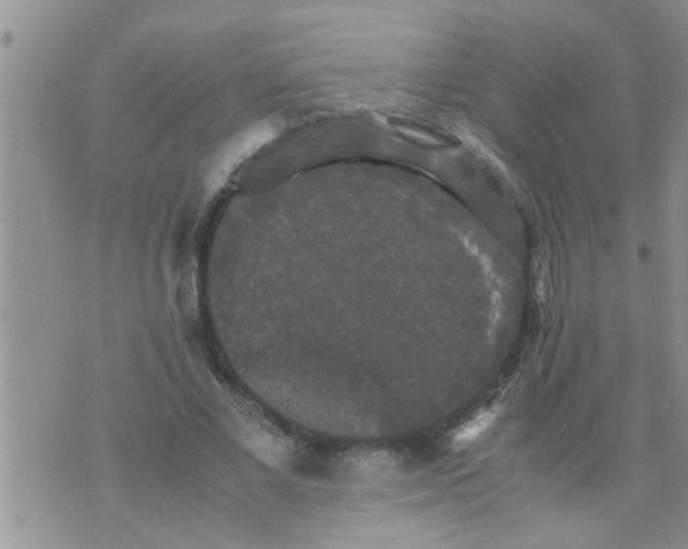 X0000070250685200606232008