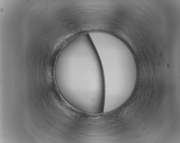 X0000070250688200606232008