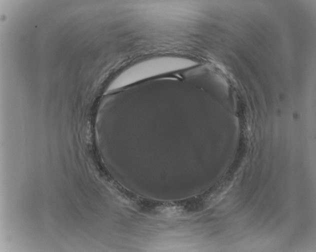 X0000070250689200606232008