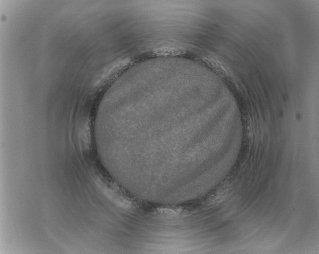 X0000070250690200606232008