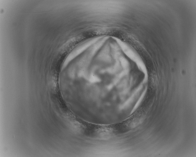 X0000070250691200606232008