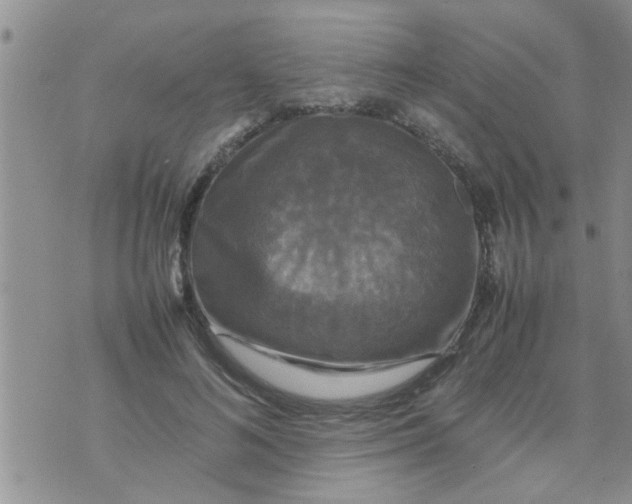 X0000070250692200606232008