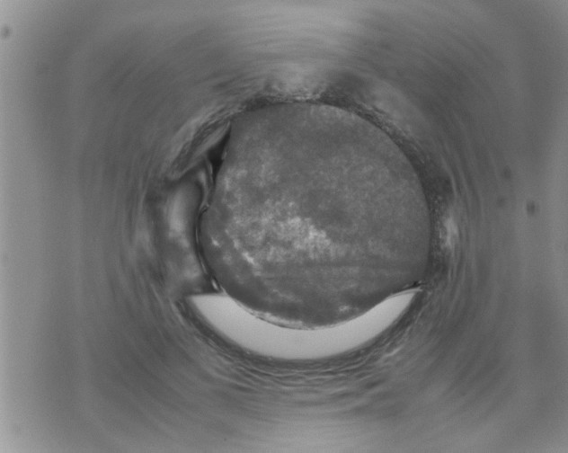 X0000070250693200606232008