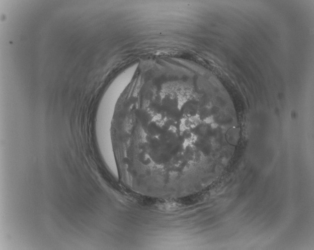 X0000070250695200606232008