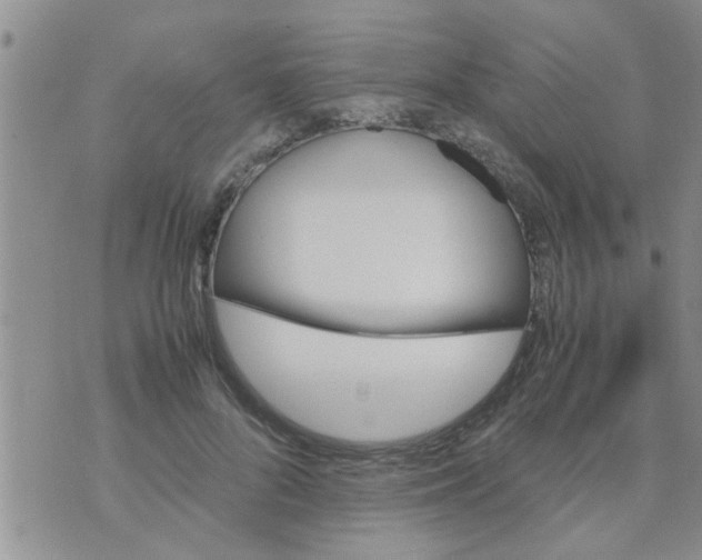 X0000070250696200606232008