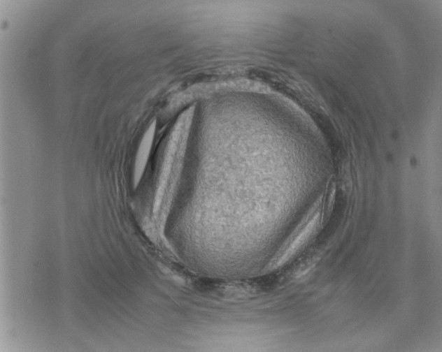 X0000070250697200606232008