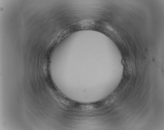 X0000070250698200606232008