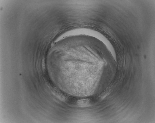 X0000070250700200606232008