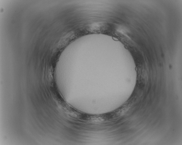 X0000070250702200606232008