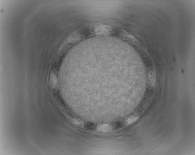 X0000070250705200606232008