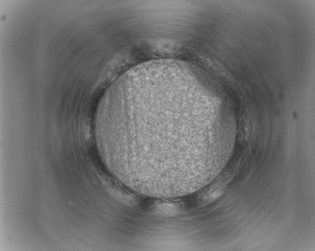 X0000070250706200606232008